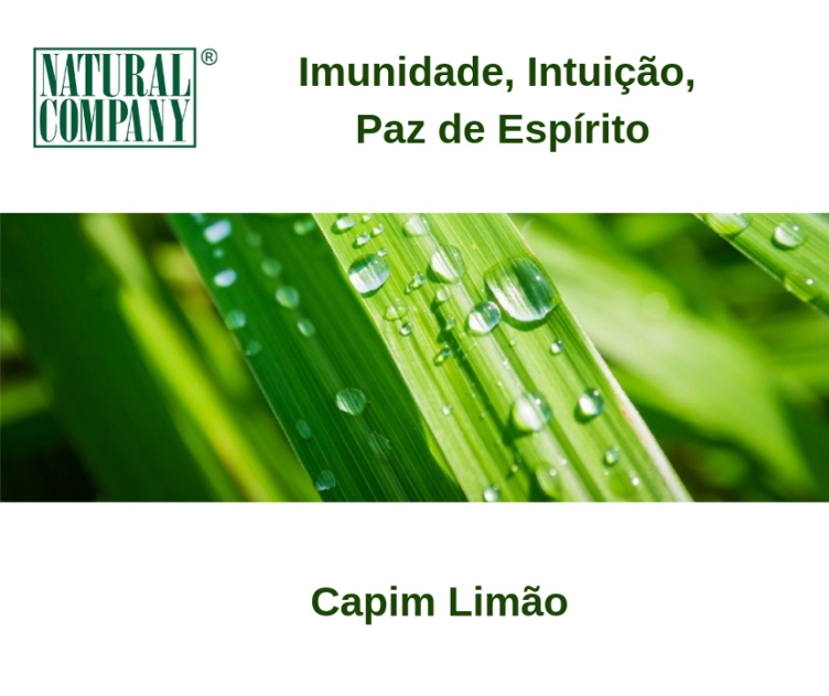 Capim Limão