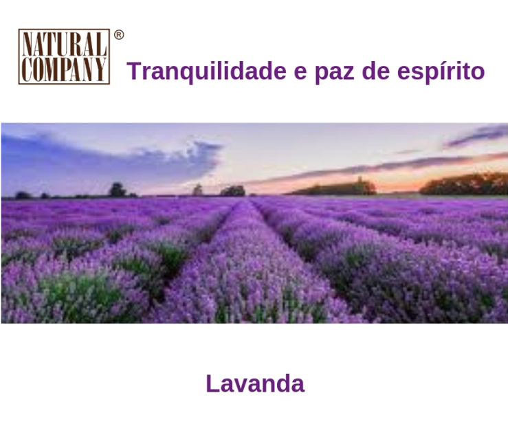 Lavanda