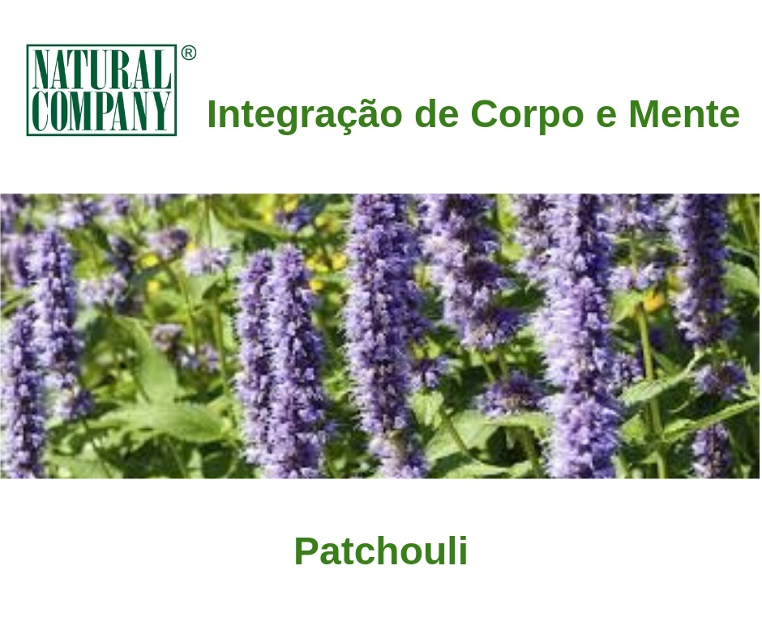 Patchouli